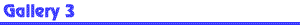 gallery3.gif - 1341 Bytes